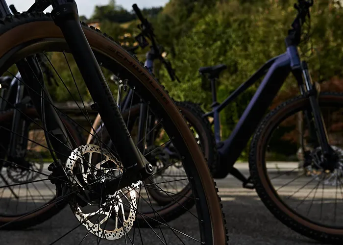 Spago Am Hochkoenig Mühlbach am Hochkönig