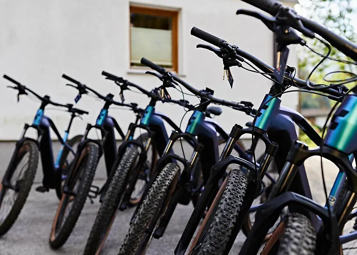 Spago Am Hochkoenig アパートホテル 3*