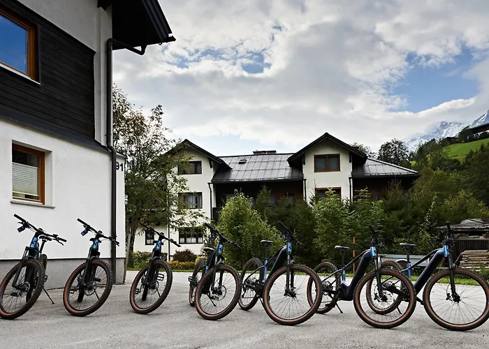 アパートホテル Spago Am Hochkoenig 3*