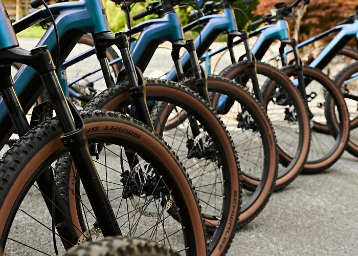 アパートホテル Spago Am Hochkoenig